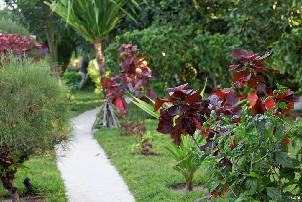 Analatsara Eco Lodge Ile aux Nattes ภายนอก รูปภาพ